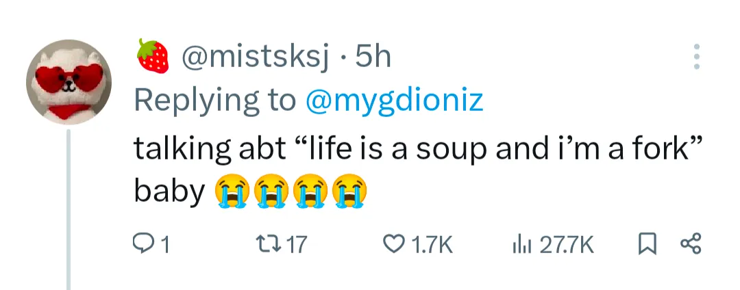 life is soup i am fork